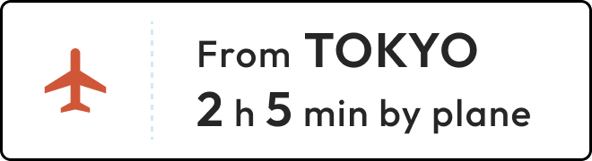 From TOKYO 2 h 5 min by plane