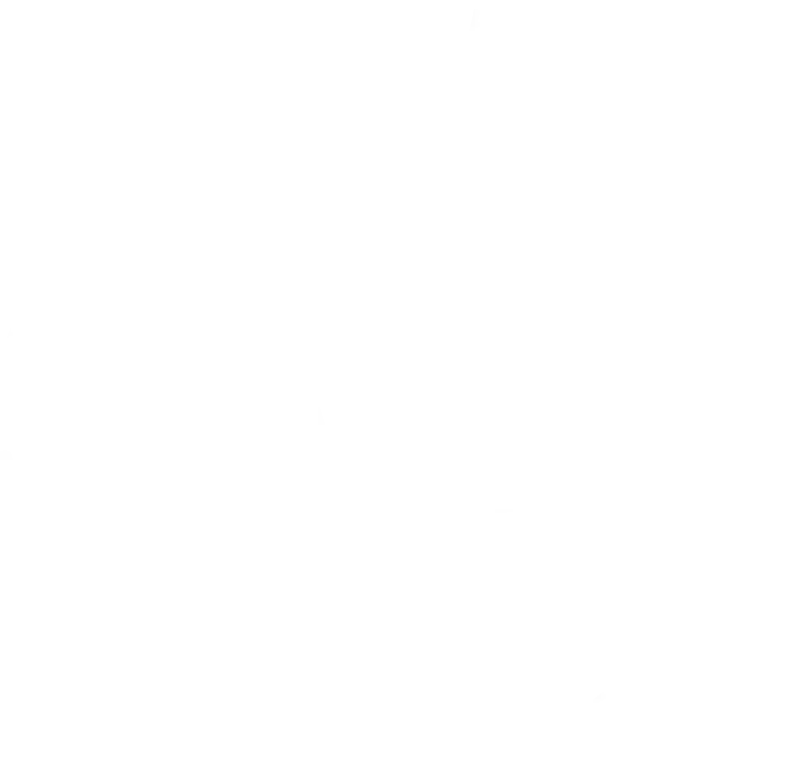 Surf Slow SAGA